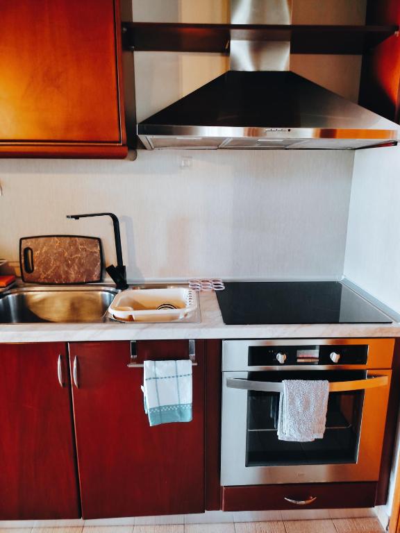 RODAVGI Apartment B - kitchen with oven and ceramic stovetop
