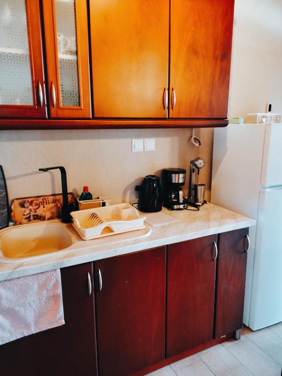 RODAVGI Apartment A - fully equipped kitchen with coffee machine